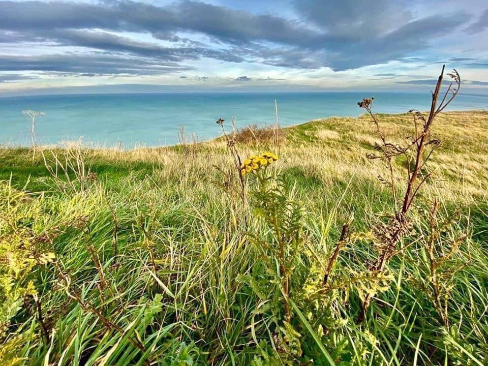 Plage A 50M Appartement Reves De Mer Villa Les Bains De Mers Eksteriør bilde