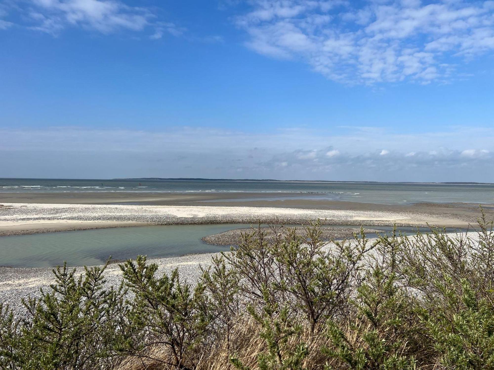 Plage A 50M Appartement Reves De Mer Villa Les Bains De Mers Eksteriør bilde